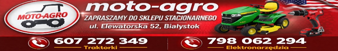 LINGBEST Paweł Lingo