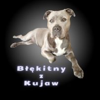 Błękitny z Kujaw