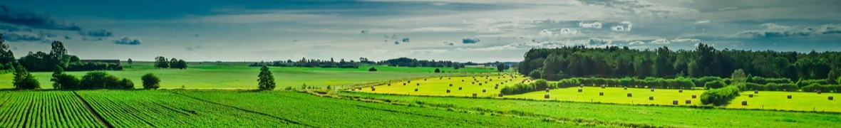 ZPOW Rolfroz Sp. z o.o.