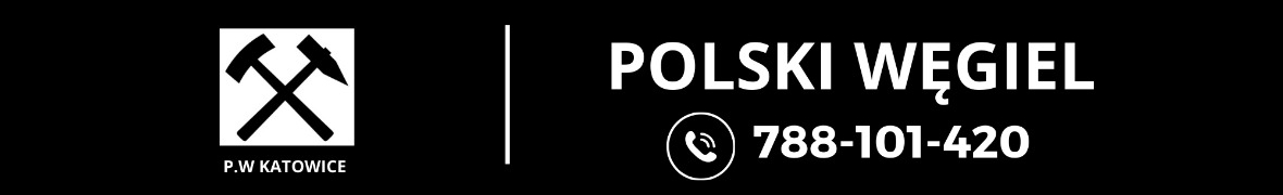 P.W KATOWICE
