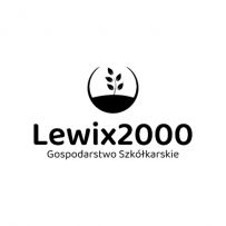 KAMIL LEWANDOWSKI LEWIX 2000
