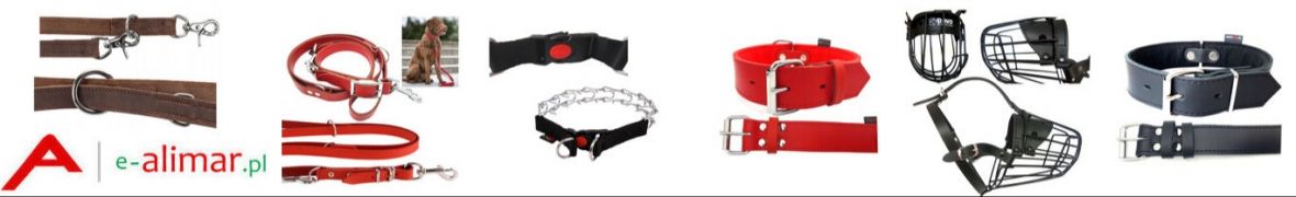 e-ALIMAR Kacper Wawrzeńczyk