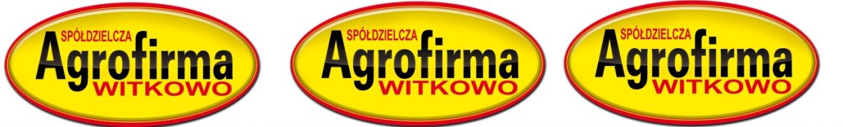 Rejonowy Przedstawiciel