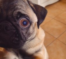 Ciekawe zegarki, sztuka.