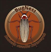 Bugnest- Hodowla owadów karmowych