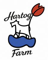 Hartog