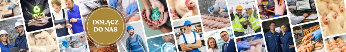 P. D. Drobex Sp. z o.o.