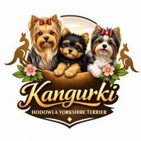 Kangurki logo
