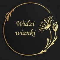 Widziwianki JDM Performance logo