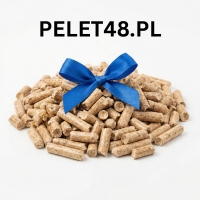 OPAL POL SPÓŁKA Z OGRANICZONĄ ODPOWIEDZIALNOŚCIĄ