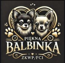 EWELINA logo