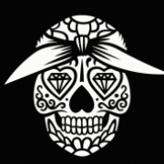 Igor logo