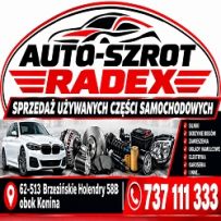 firma radex logo