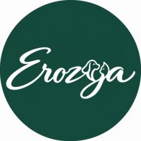 Erozya logo