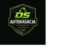 DS Auto Kasacja logo