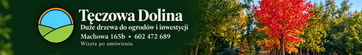 Tęczowa Dolina