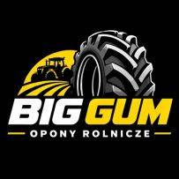 Big-Gum logo