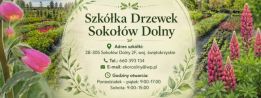EKOROŚLINY logo