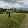 Agnieszka