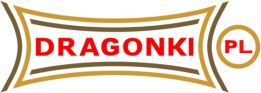 dragonki.pl