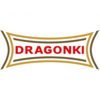 dragonki.pl logo