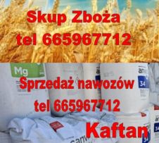 Kaftan Sp z.oo