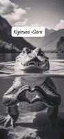 kajman-cars