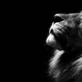 Mirek