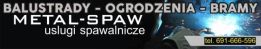 Metal-Spaw logo