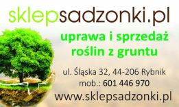 PARADISO Andrzej Ogon
