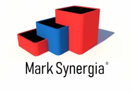 Mark Synergia Krzysztof Wysoczański