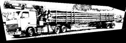 P.P.H.U. Euro-trans