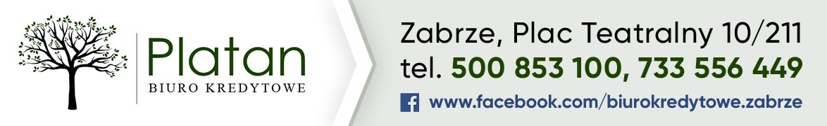 Biuro Kredytowe Platan