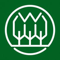 Mateusz logo