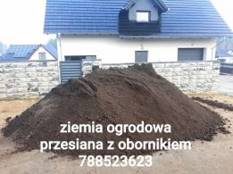 Pomoc Drogowa Lewy