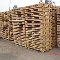 Skup Palet
