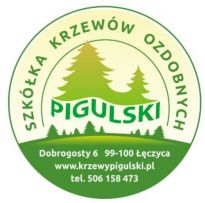 Szkółka Krzewów Ozdobnych Pigulski