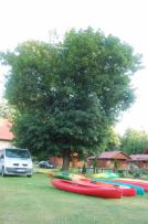 Domki Letniskowe "Mazurski Klon"