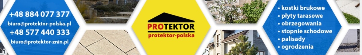PROTEKTOR-POLSKA Sp. z o.o. Oddział Bydgoszcz