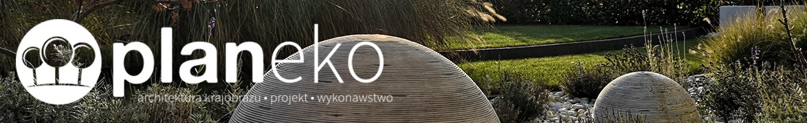 Planeko Paweł Klimek