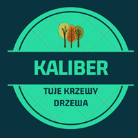 "Kaliber" Mariusz Ślązok