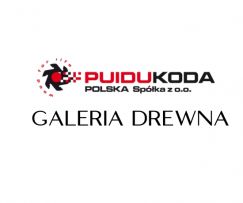 Puidukoda Polska