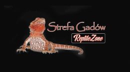 Strefa Gadów Reptile Zone