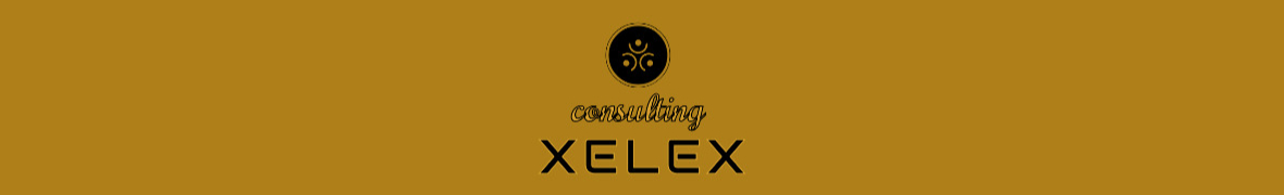 Kancelaria Doradztwa Gospodarczego XELEX SKA