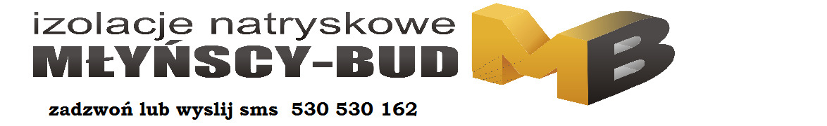 Firma Budowlana MŁYŃSCY BUD S.C.