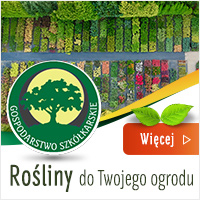 Gospodarstwo Szkółkarskie Andrzej Krzysiak