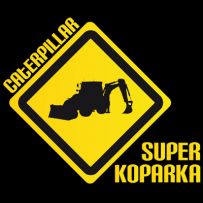 Grzegorz Kubik POLKOP