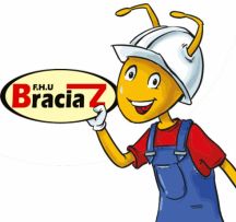 MRÓWKA PSB BRACIA Z logo