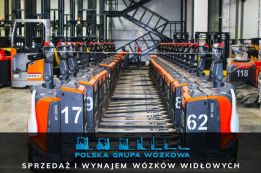Polska Grupa Wózkowa