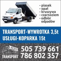 Misiek logo